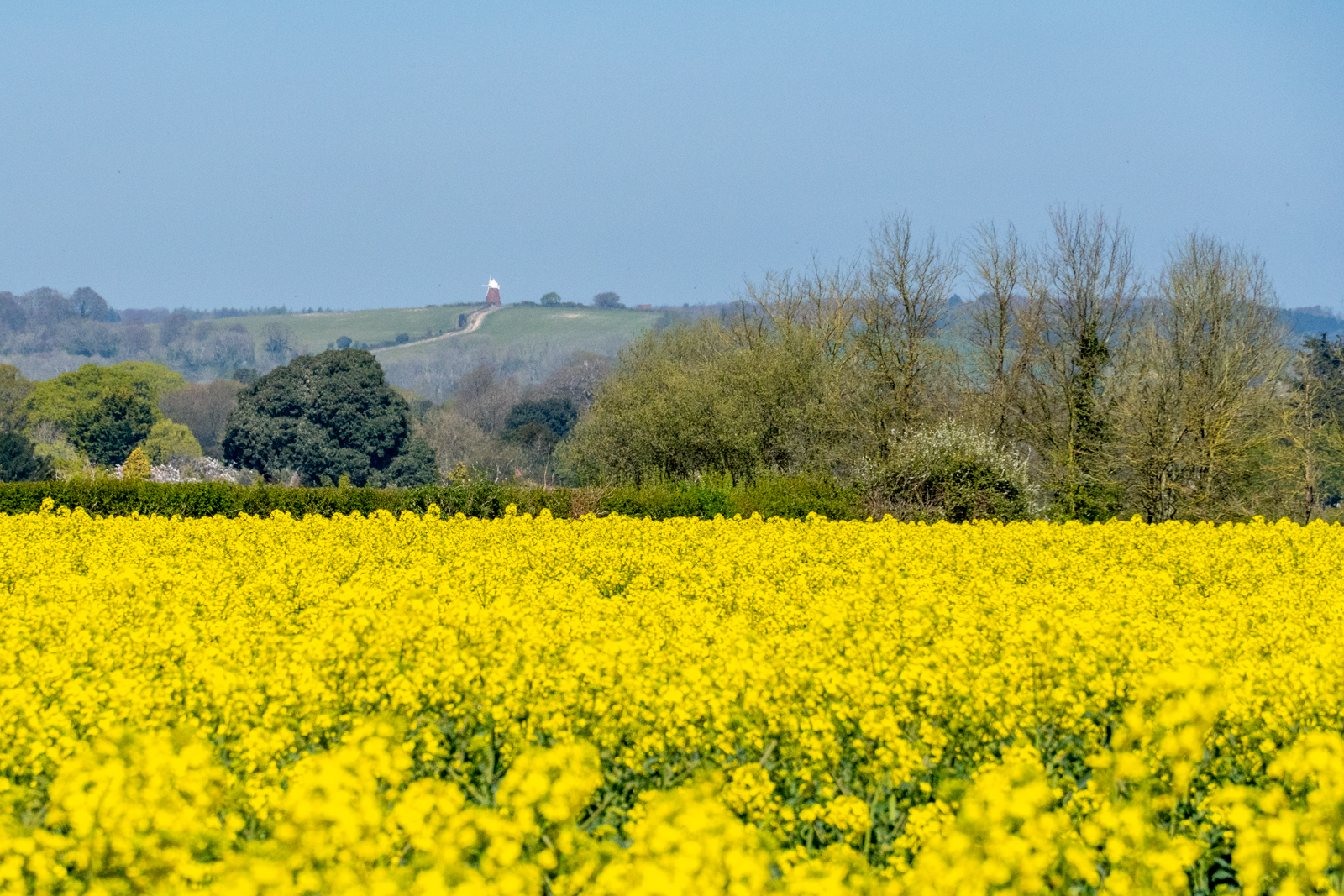 Photography by Chris Allington